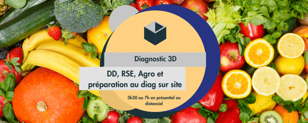 Formation Diag 3D Ma-RSE