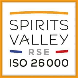 Logo spirits Valley RSE